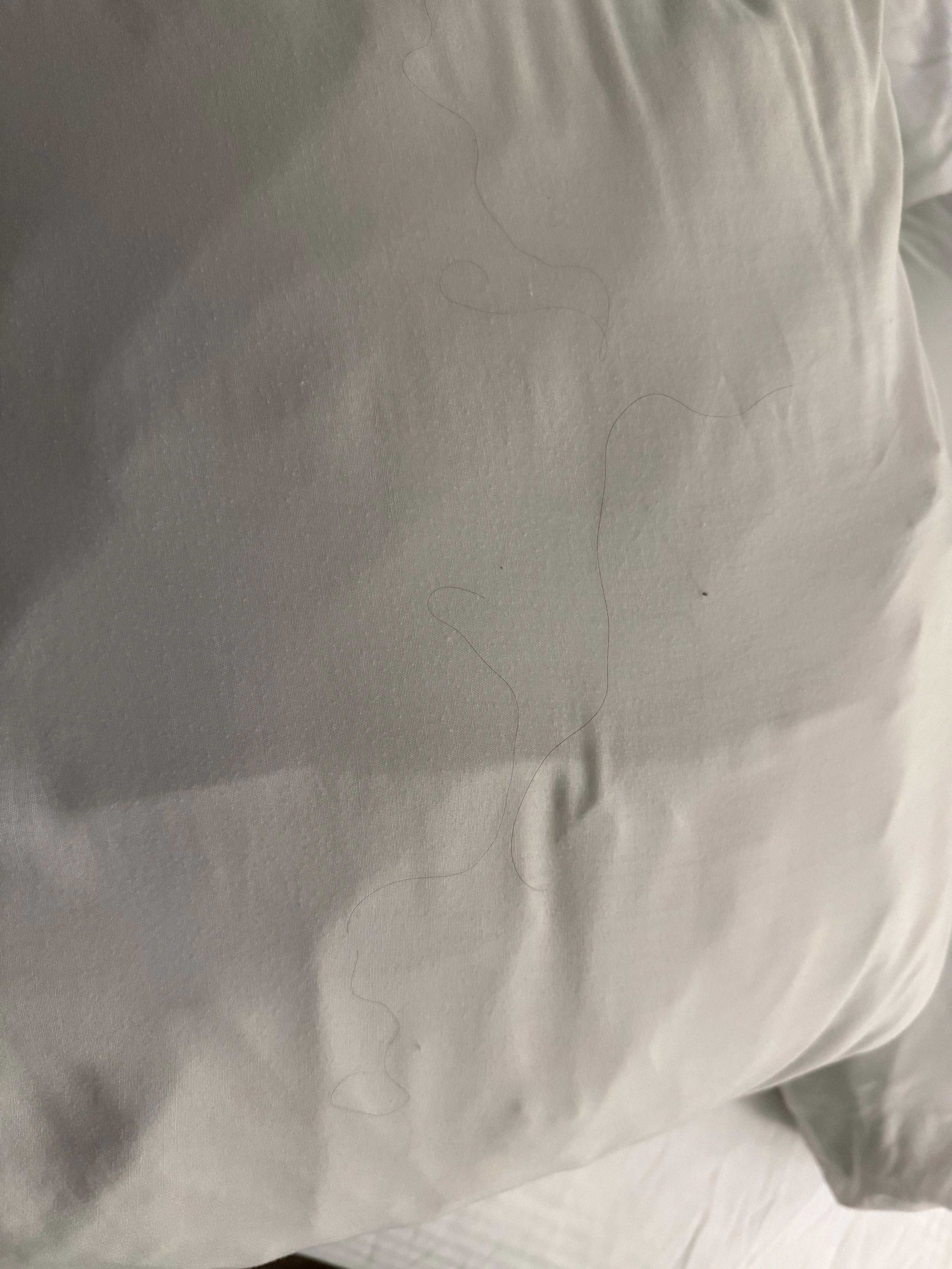 Hair on pillows