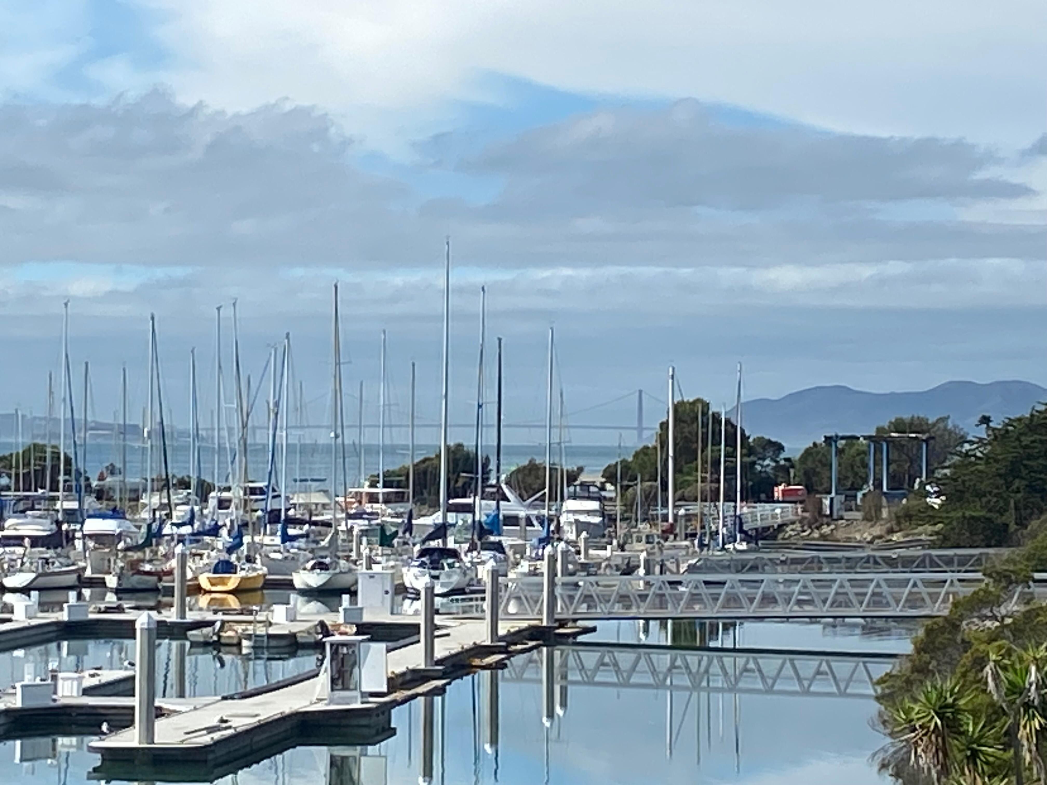 Morning with the bridge in the background (it's a bad camera sorry)