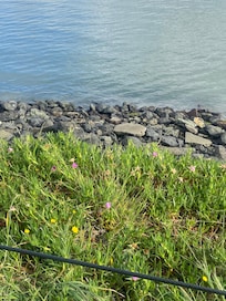 Walk only the Bay Trail just a short walk from the hotel. Nice for a stroll or jog.