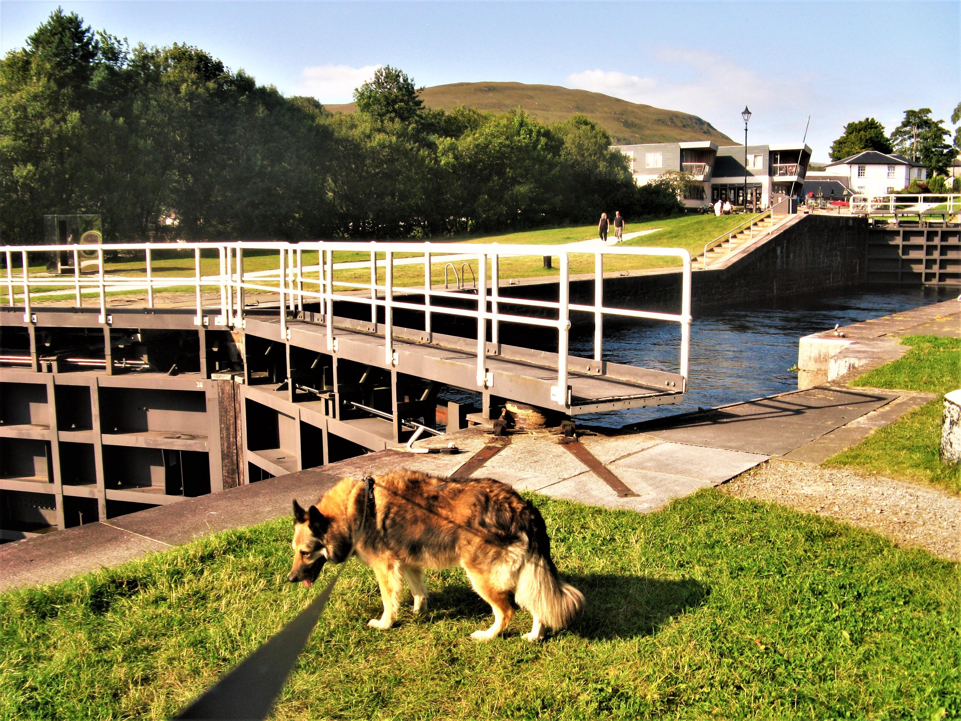 Bella at Neptunes Staircase at the back of the hotel.