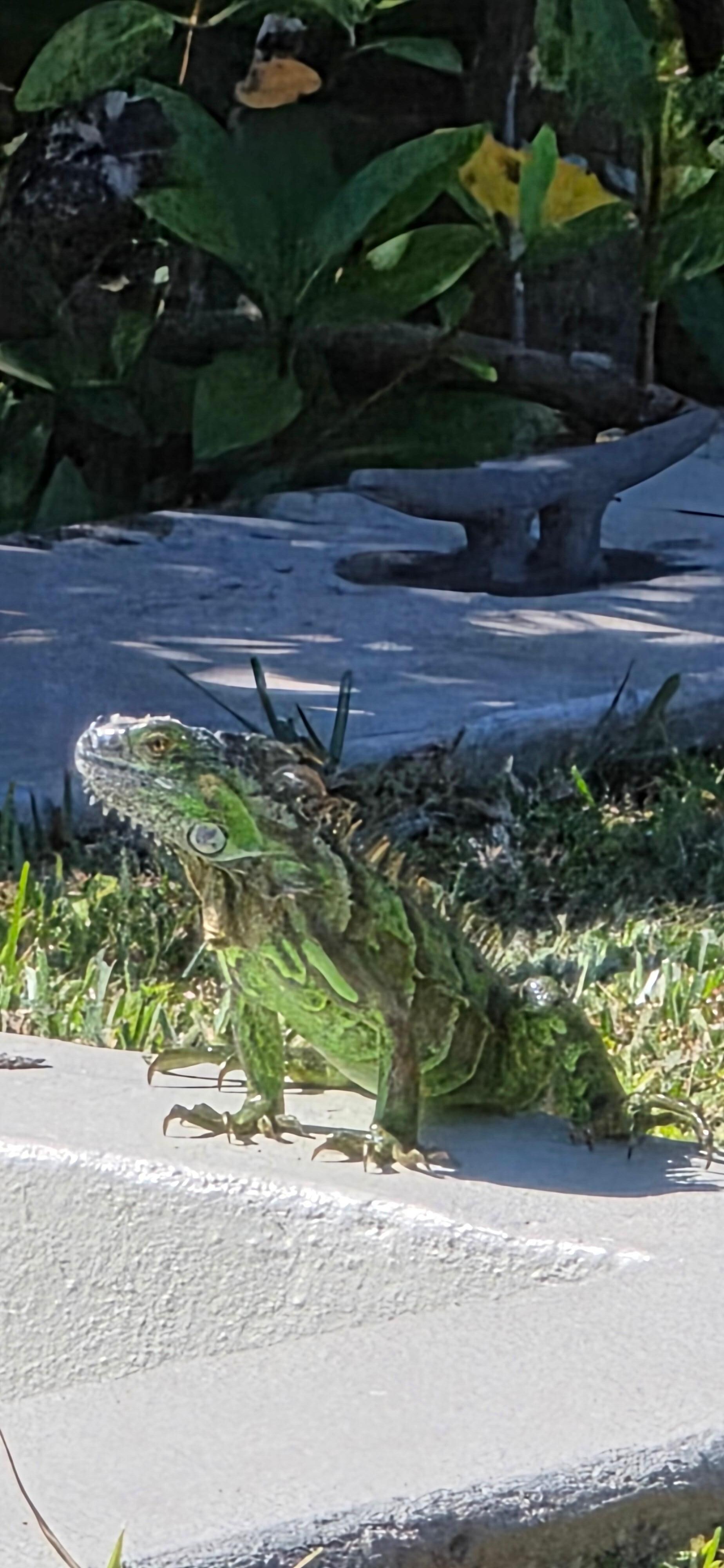 These guys are always watching  👀 