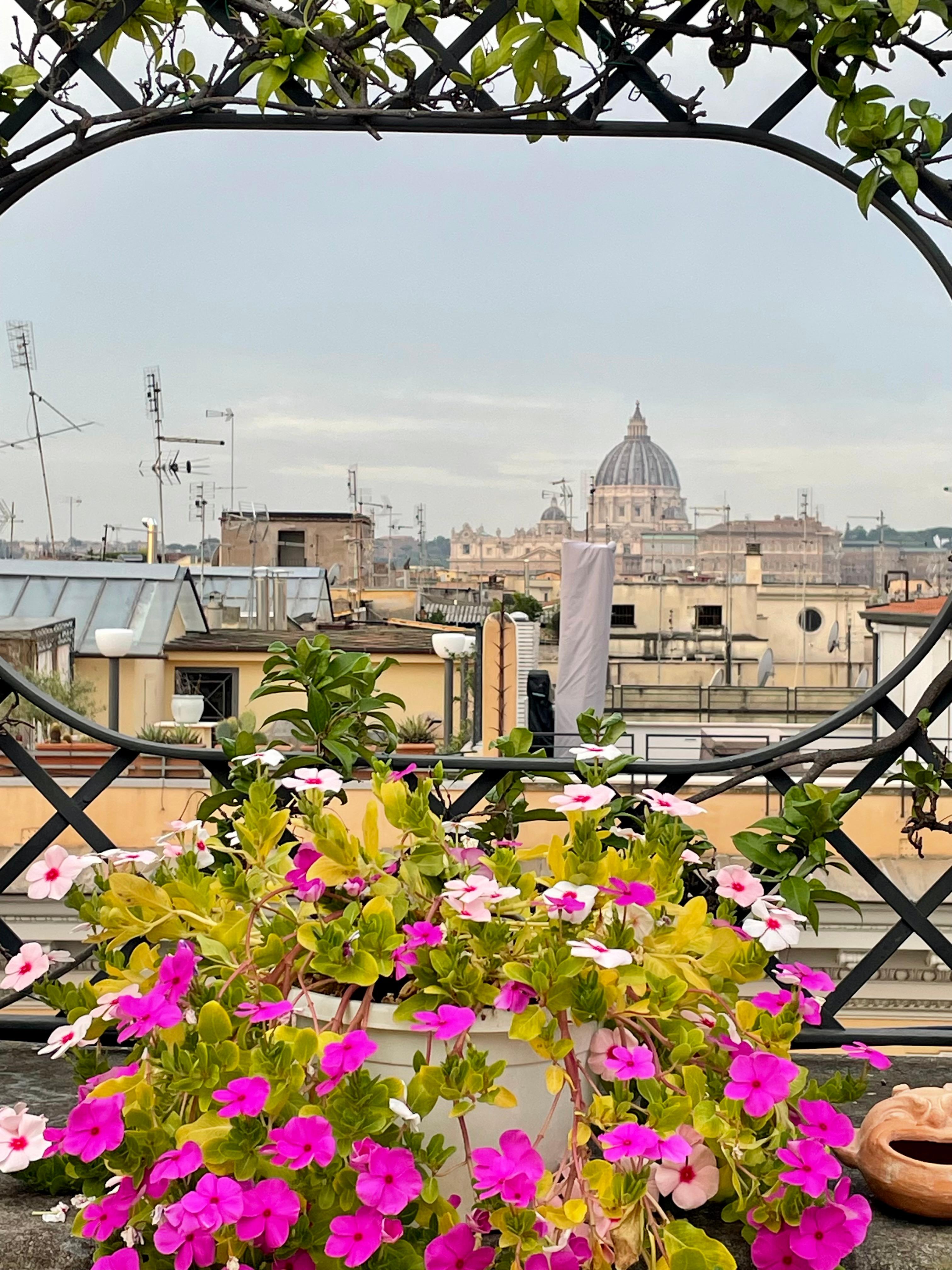 Breakfast with a view.