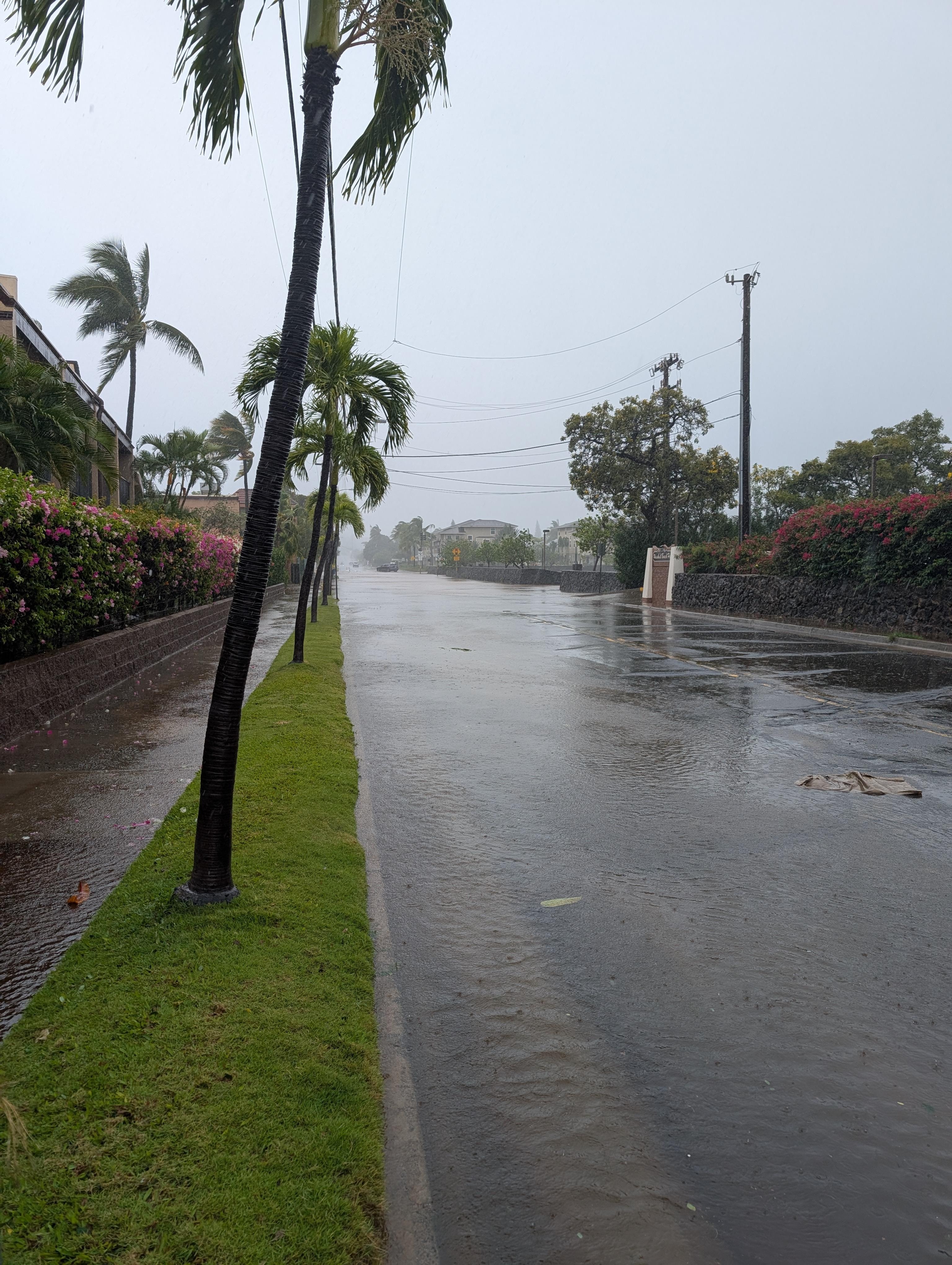 Lipoa impassible due to flooding