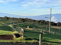 Down the driveway, on the way to a horse ride