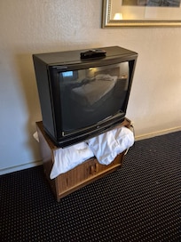 TV is an antique
