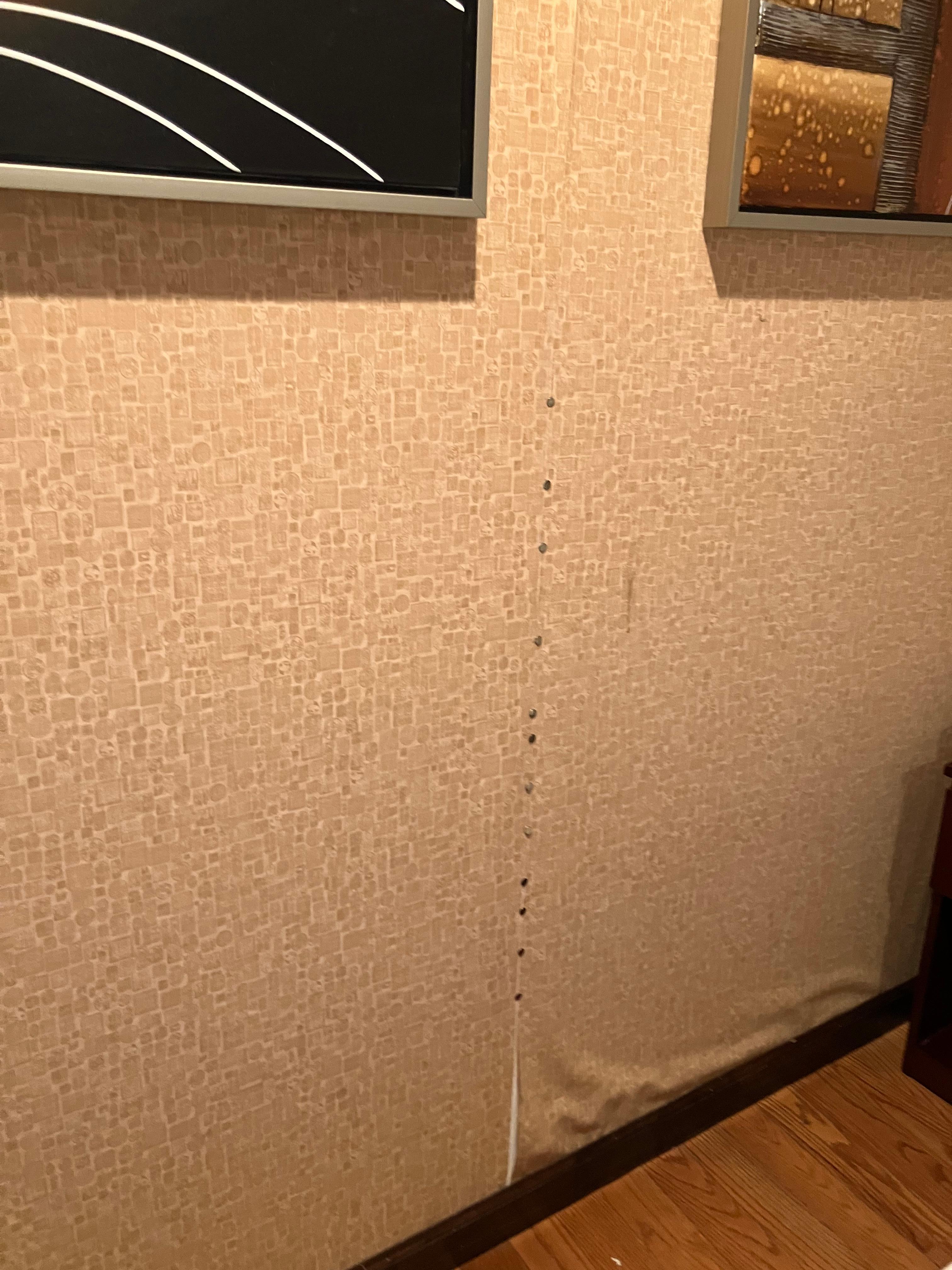 Tacks used to hold wall paper 