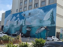 Marvelous street murals nearby!