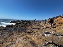 Tide pools at the water front