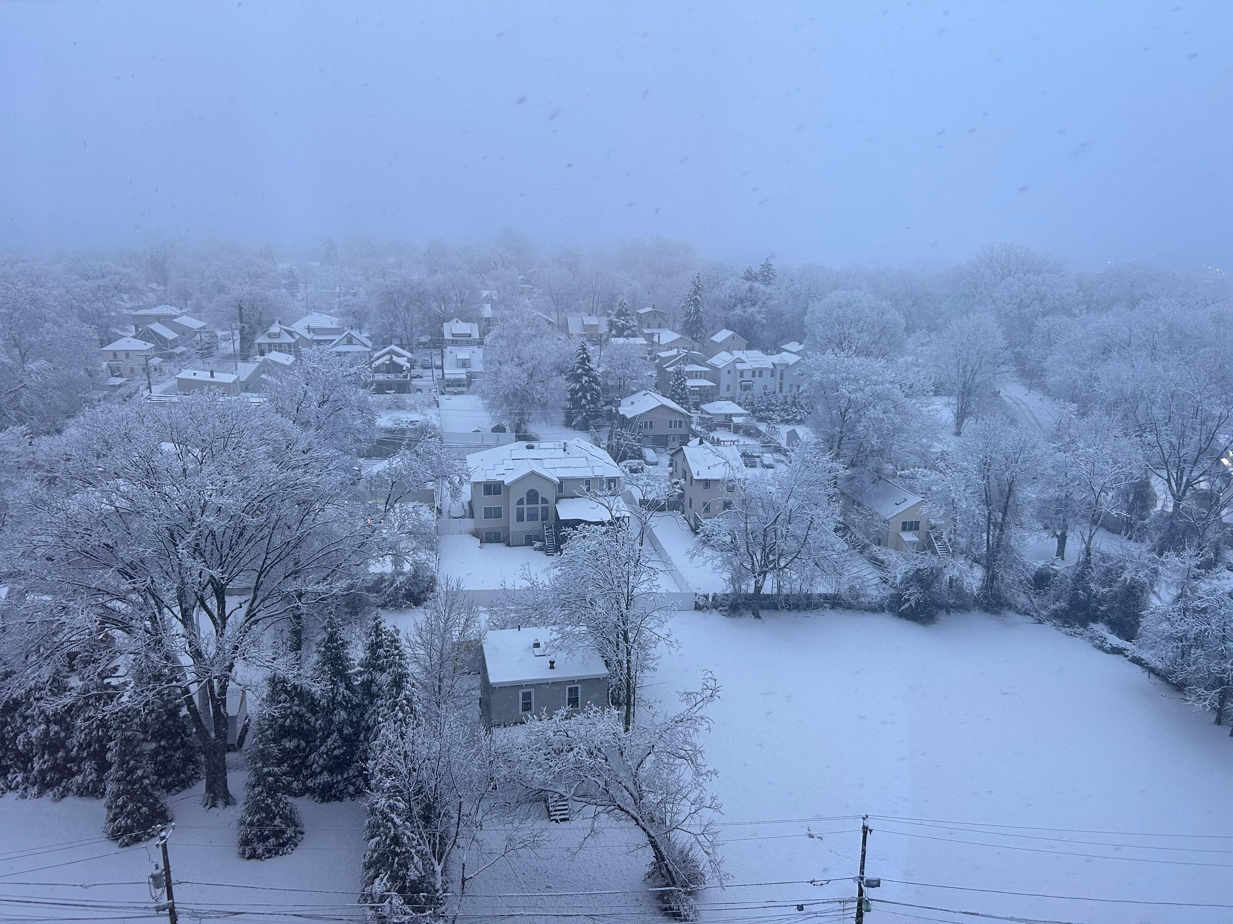 Nevada desde la habitación.