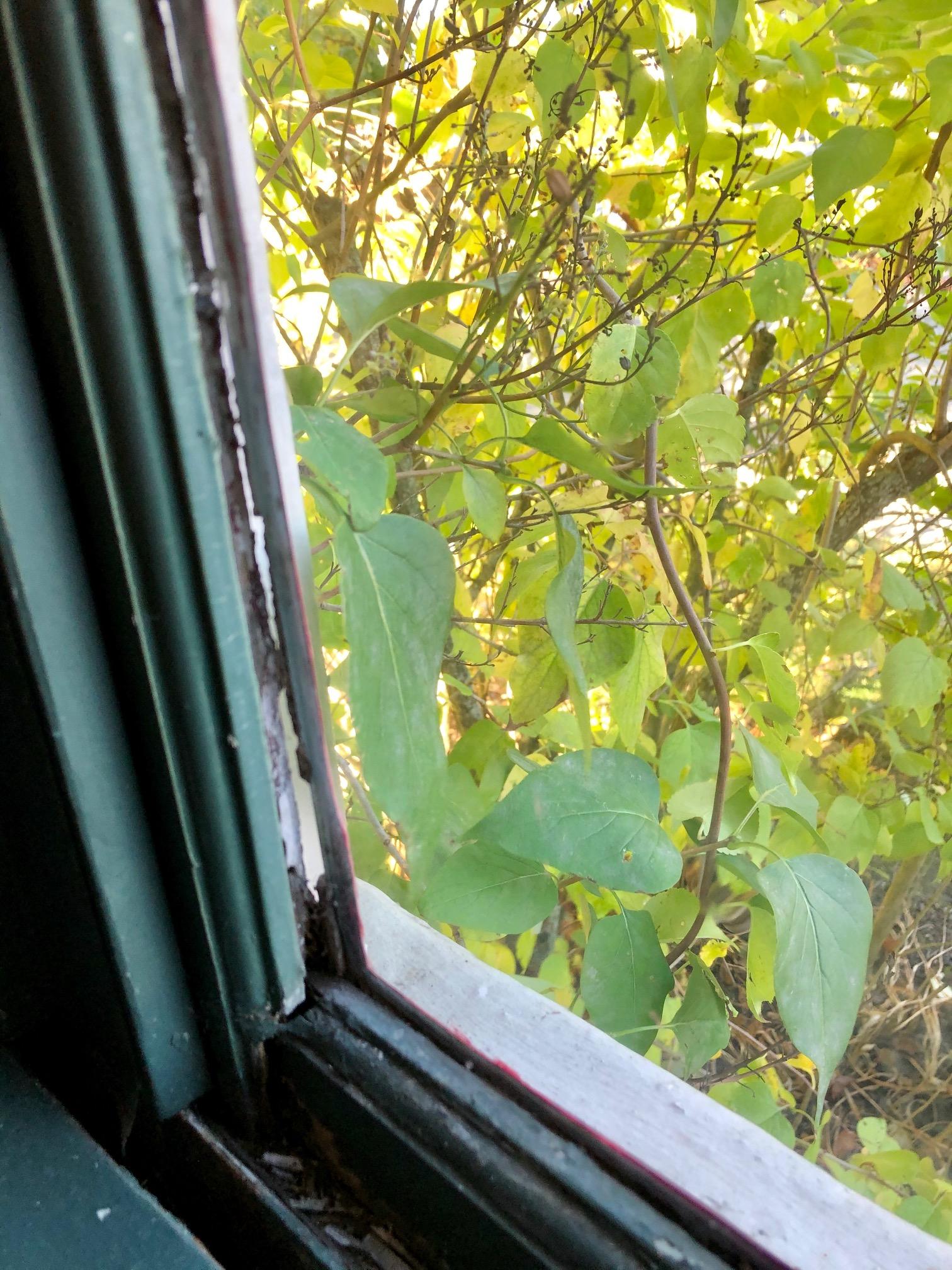 Glaze gone from window so pane about to fall out