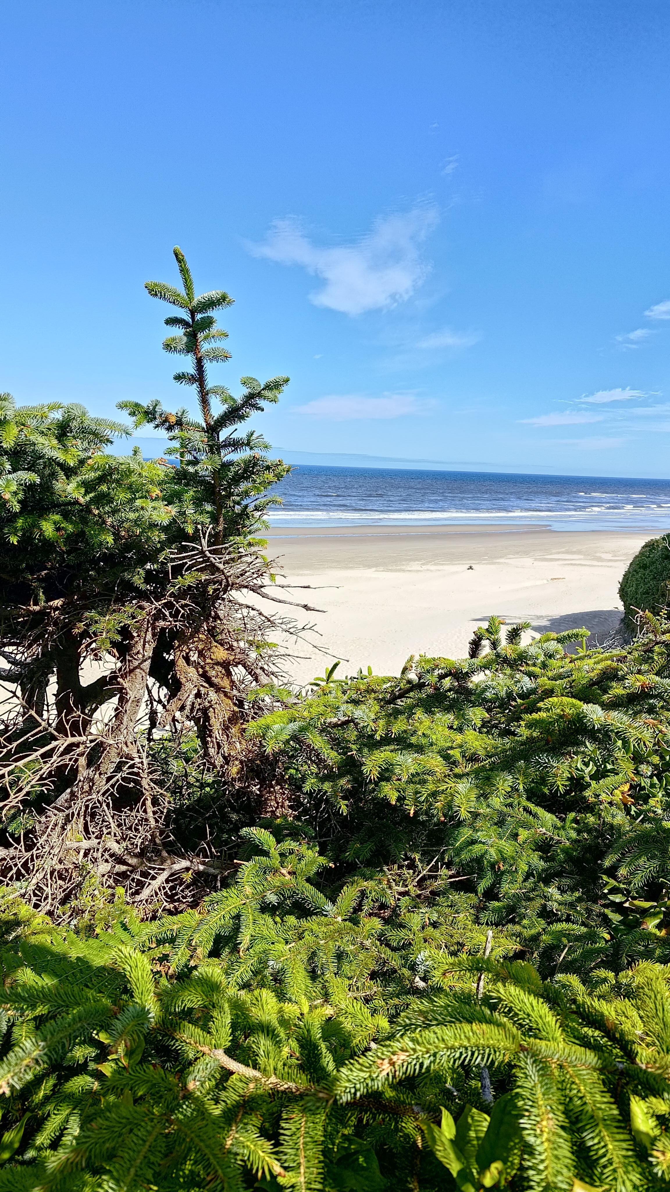 Hobbit Beach 