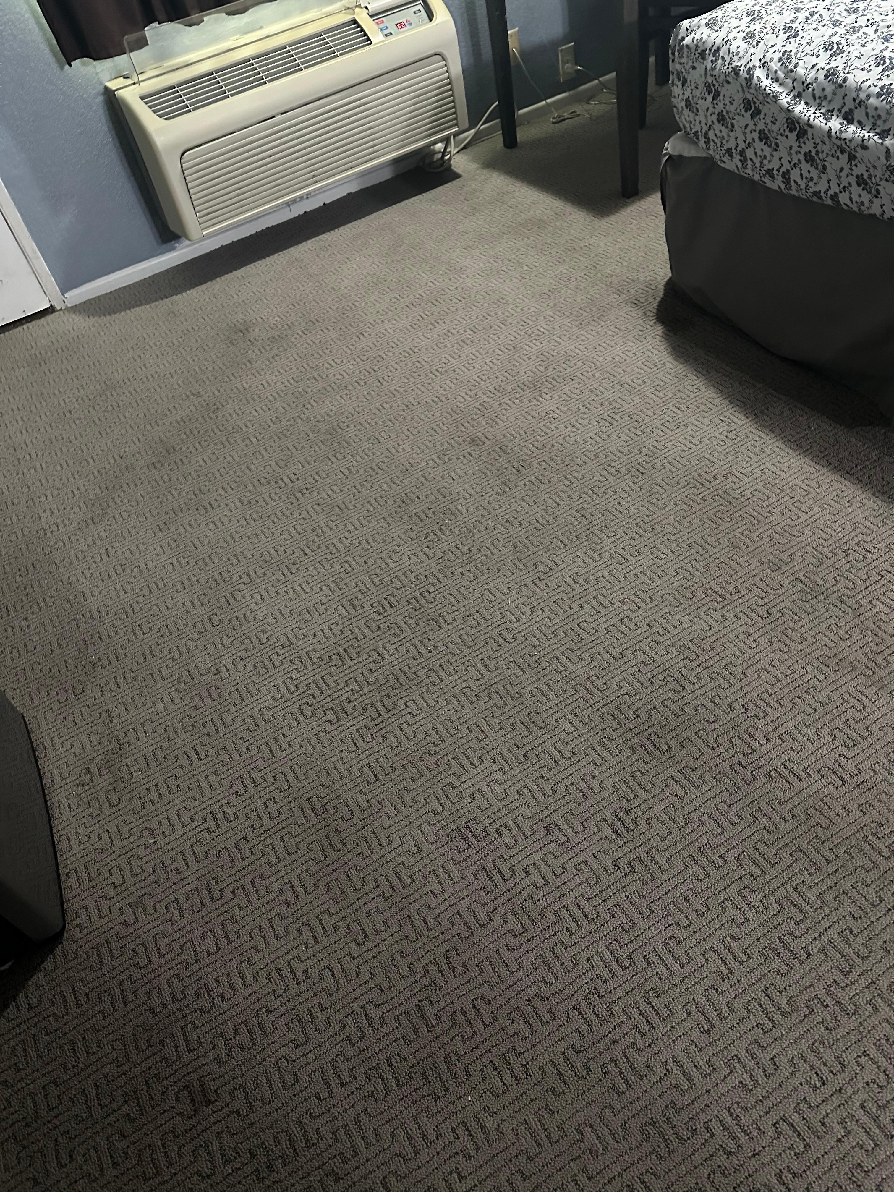 Stained carpet example