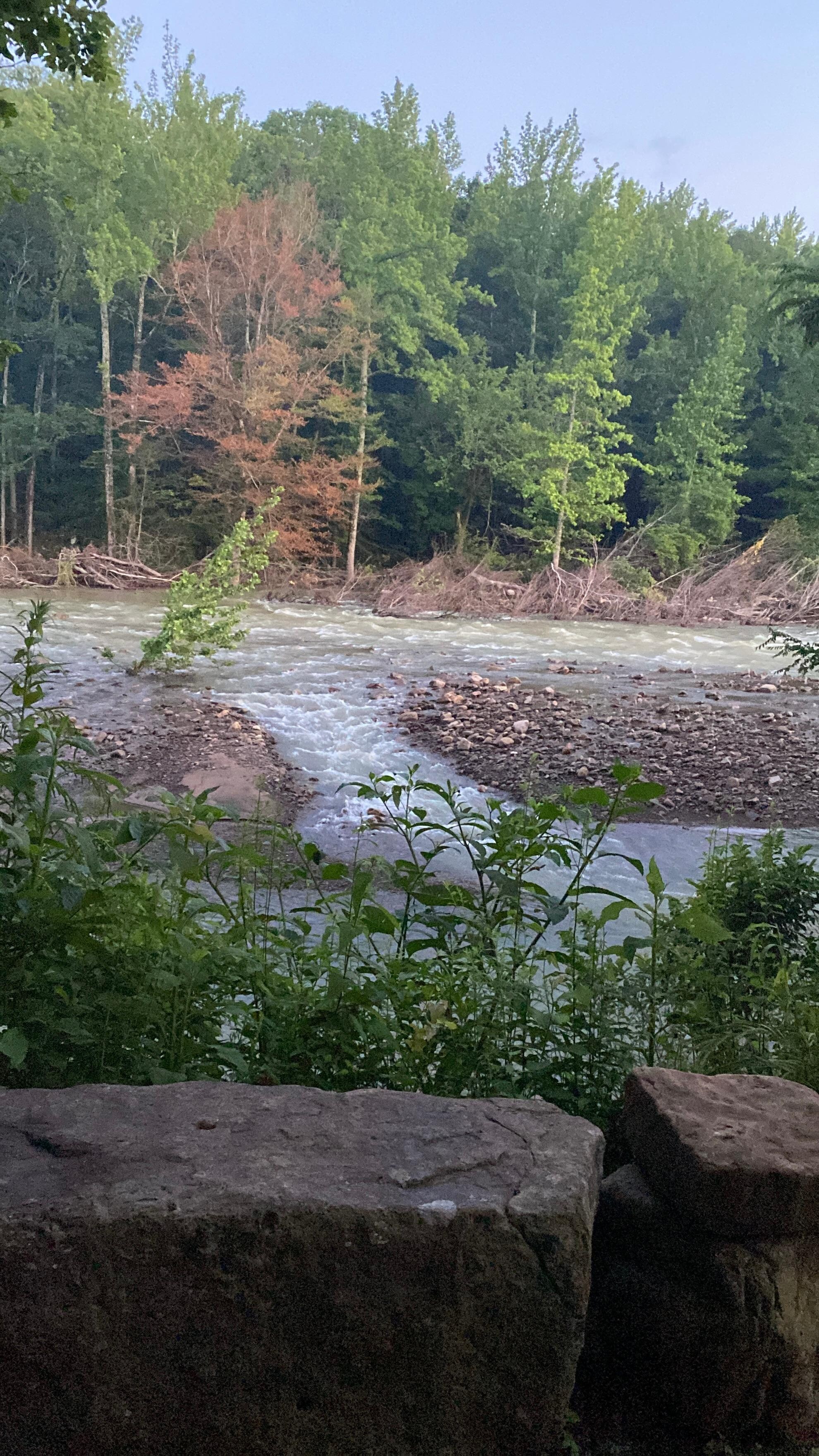 The view from the porch.
