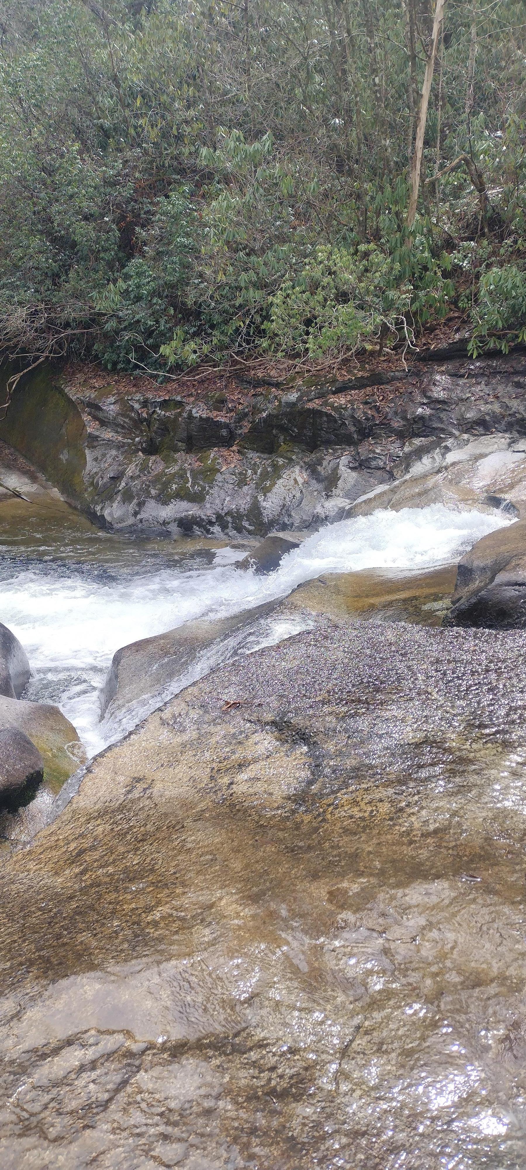 We went on the Asheville Jeep Hiking and Waterfall Tour in the Pisgah National Forest. I would recommend it for a family outing. It was a fun filled four hours. I'm 70 and was able to hike the trails to the waterfalls, so was my 7 year old grandchild