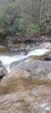 We went on the Asheville Jeep Hiking and Waterfall Tour in the Pisgah National Forest. I would recommend it for a family outing. It was a fun filled four hours. I'm 70 and was able to hike the trails to the waterfalls, so was my 7 year old grandchild
