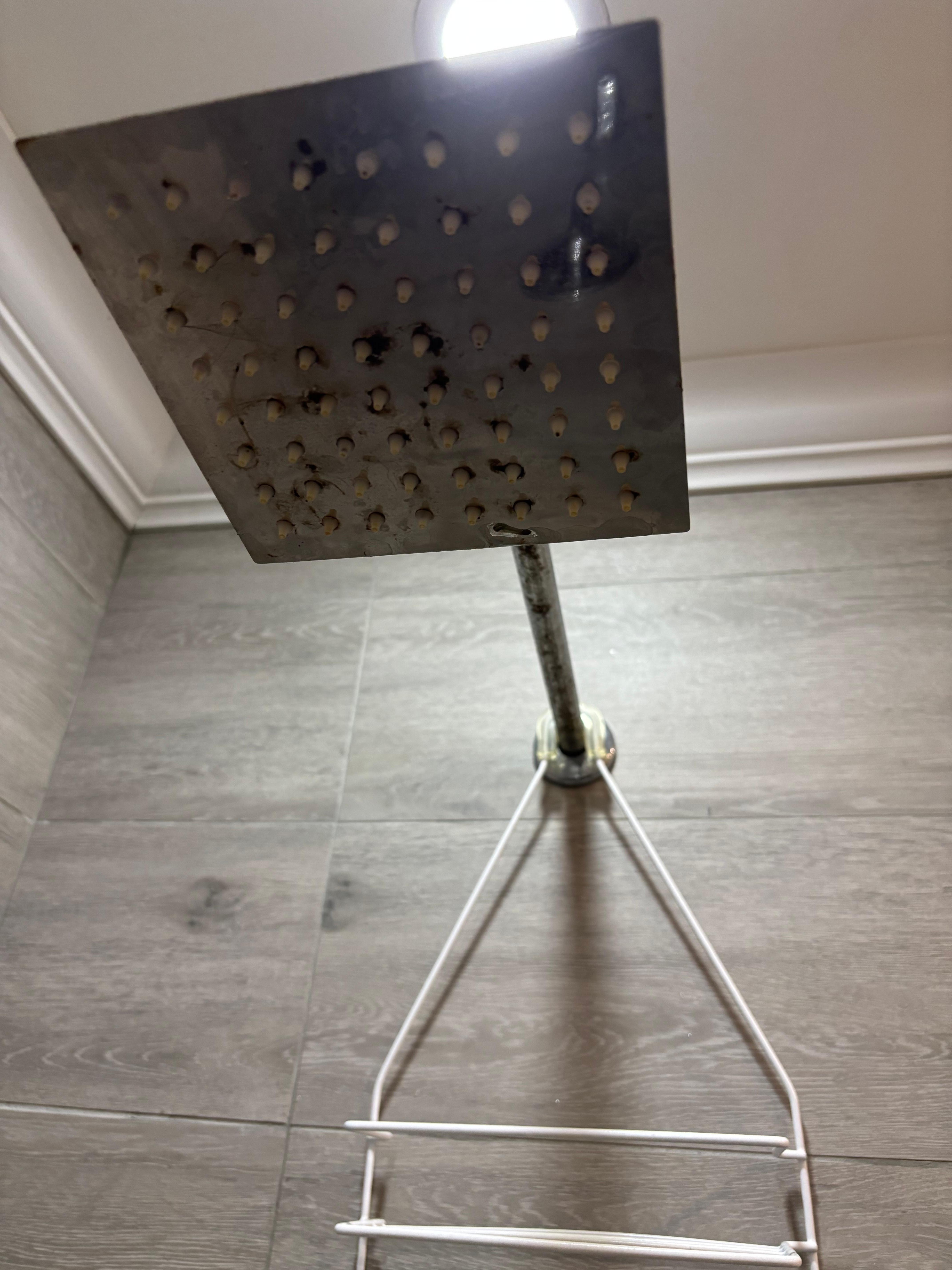 At a first glance, it looked like mold buildup so I didn’t  use the shower for the day. After further inspection it look was rusted. Visually, it wasn’t nice for the price point. 