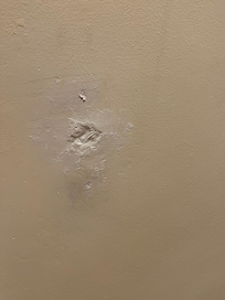 Bathroom wall