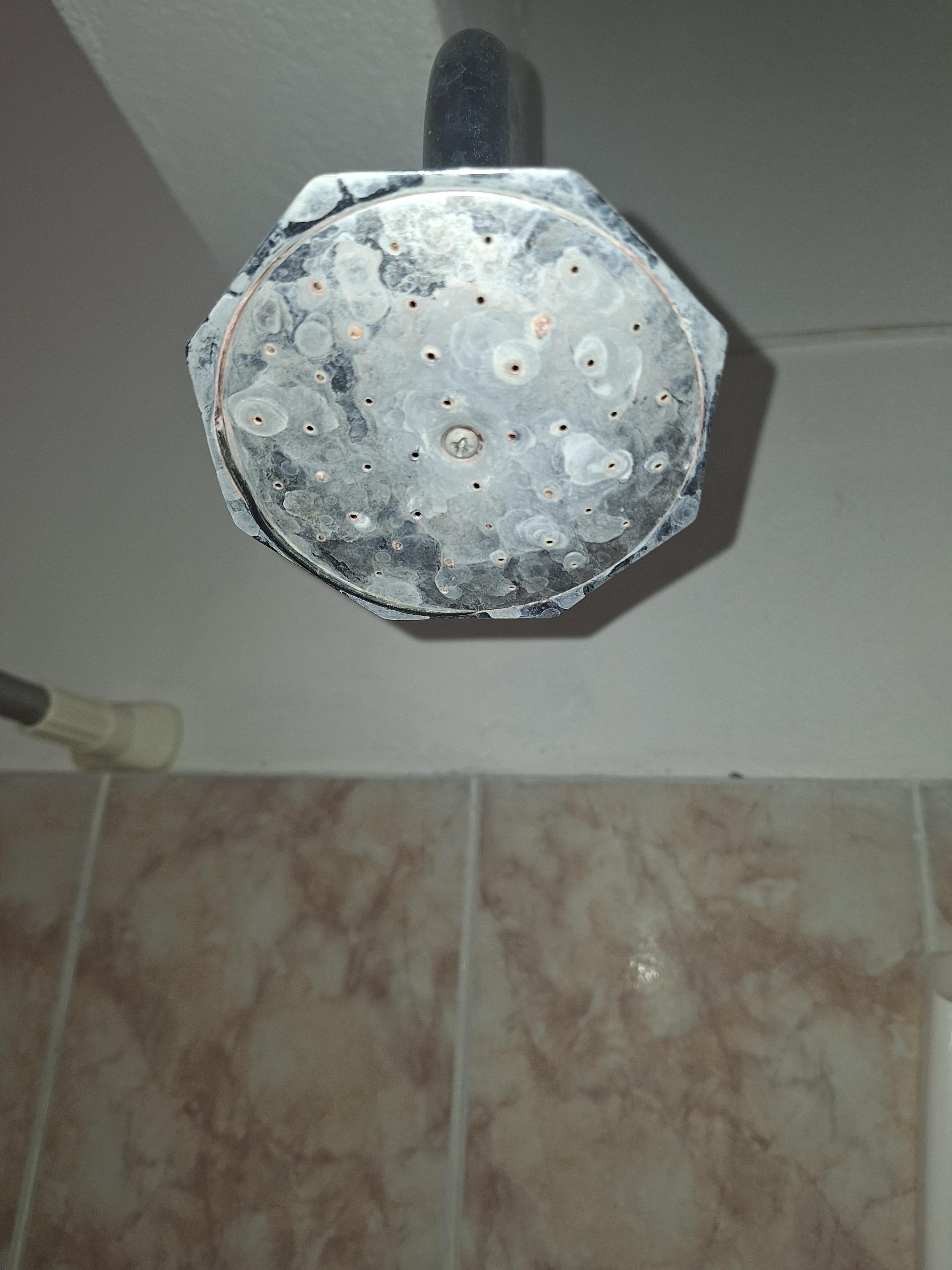 Dirty and broken shower head