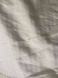 Dirty sheets