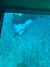 Silver Springs tour