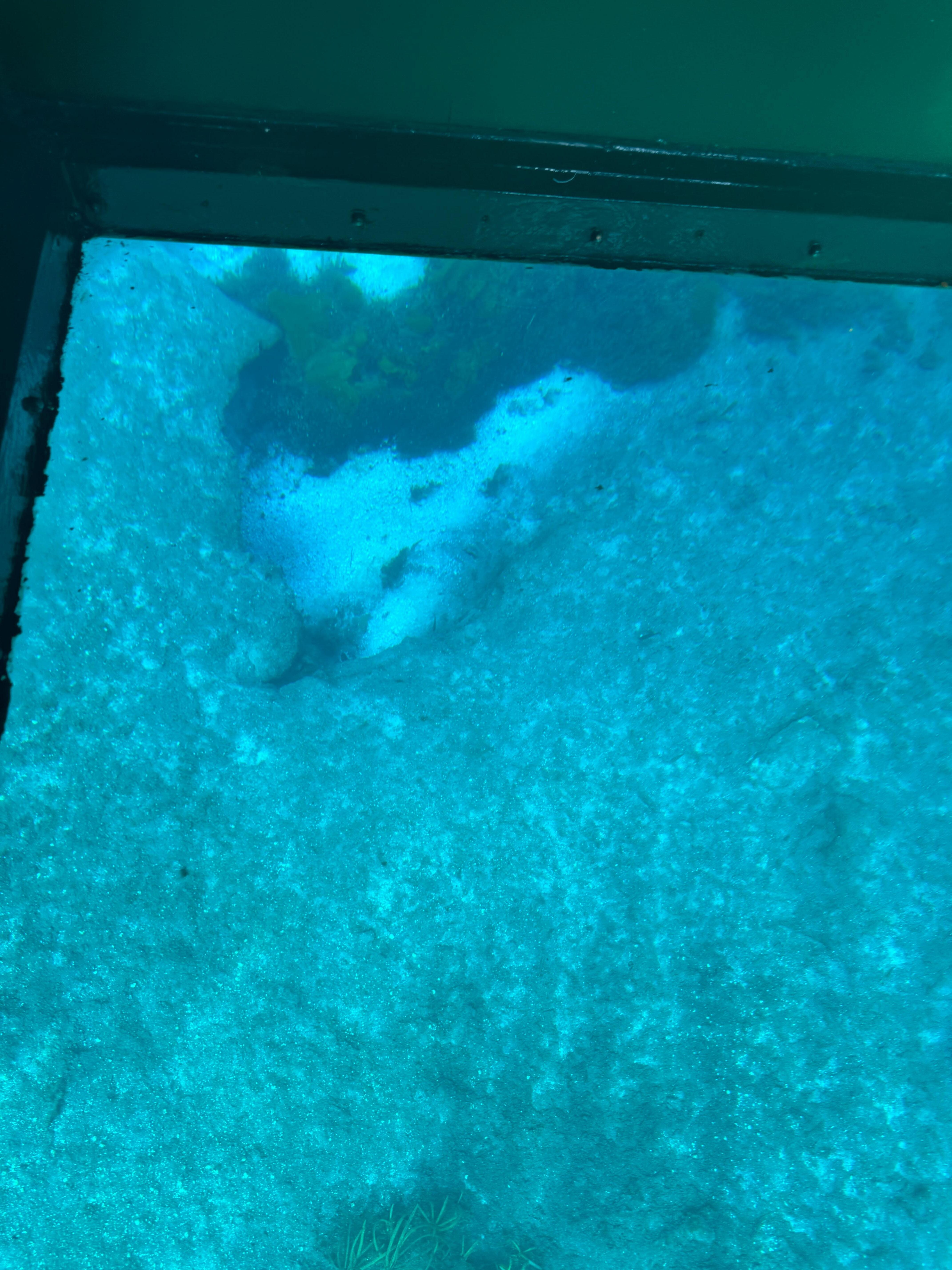 Silver Springs tour