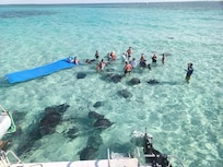 Stingray City excursion...a MUST do!