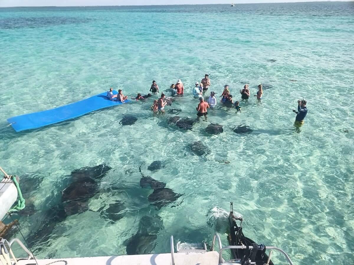 Stingray City excursion...a MUST do!