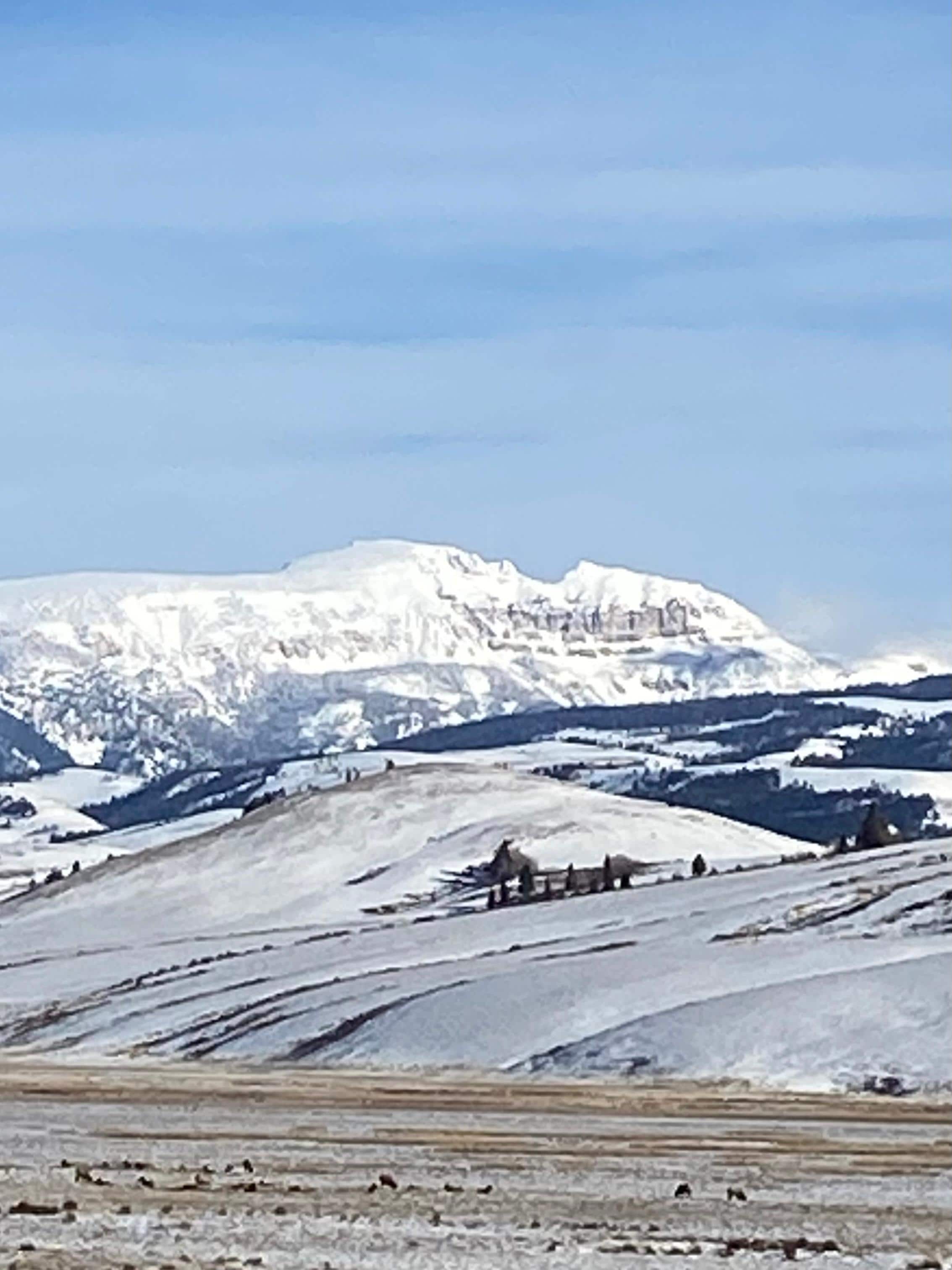 View from my morning coffee!! ❤️