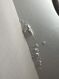 Bath ceiling peeling paint.