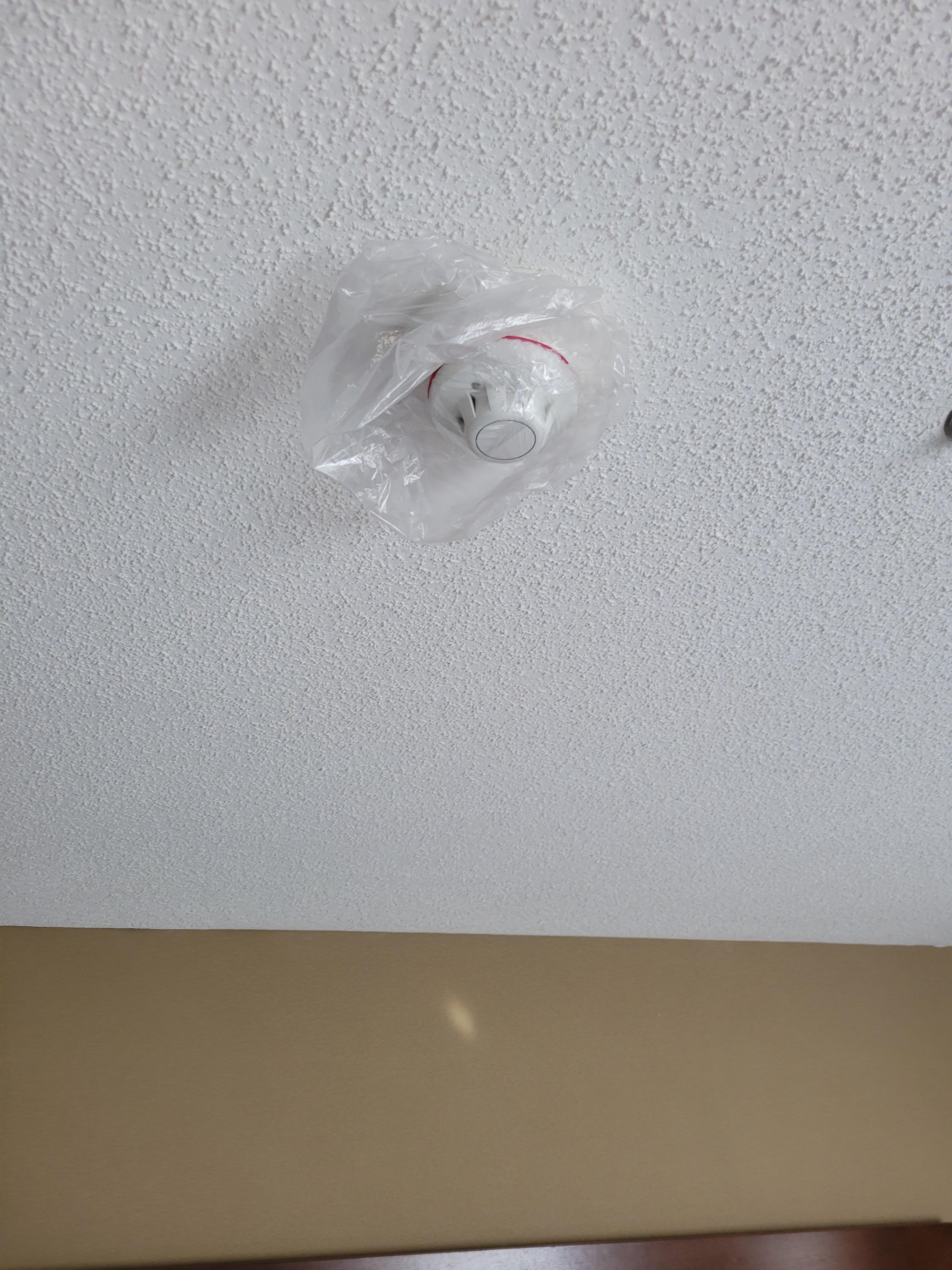 Shower cap on smoke detector 