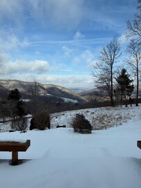 Views from the dining room