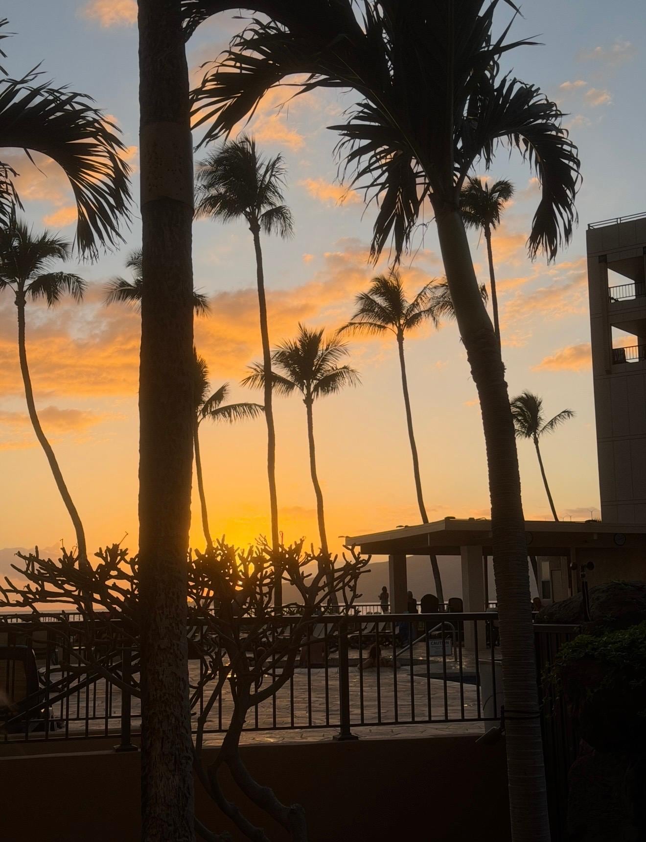 A beautiful view from the condo at sunset