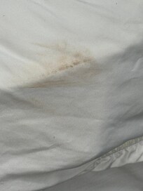 On the corner of the bed, these things weren't noticed until the next day because my son arrived late after a military event.. I watched the kids in his room but layed the baby on another sheet carried due to sensitive skin..