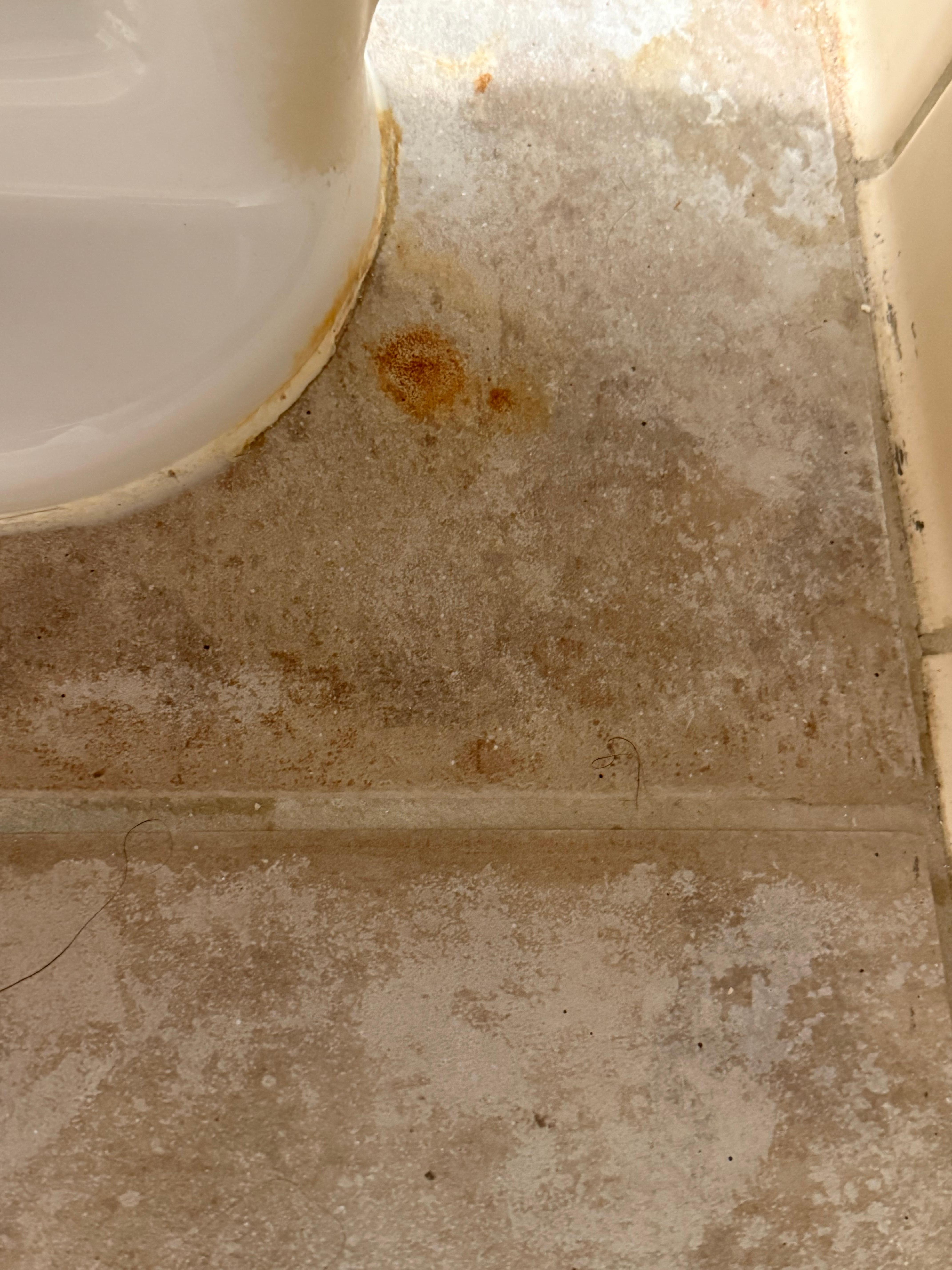 Blood Stain on floor behind toilet upon checkin-in. Looks like floor not cleaned in weeks/months?