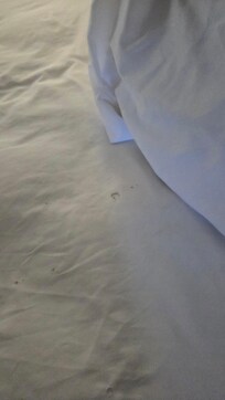 Cigarettes holes in sheets