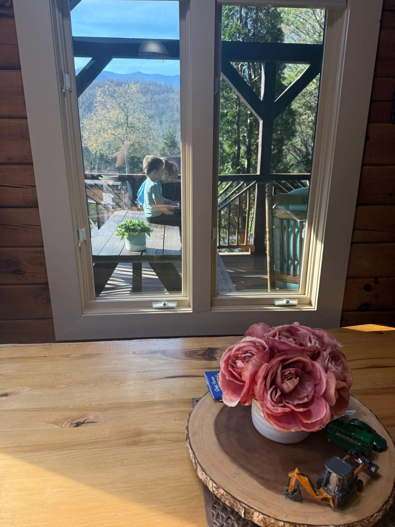 Look at that view from inside the cabin! 😲