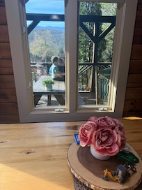 Look at that view from inside the cabin! đČ