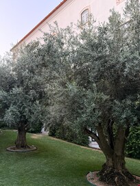 Jardim piscine enfants