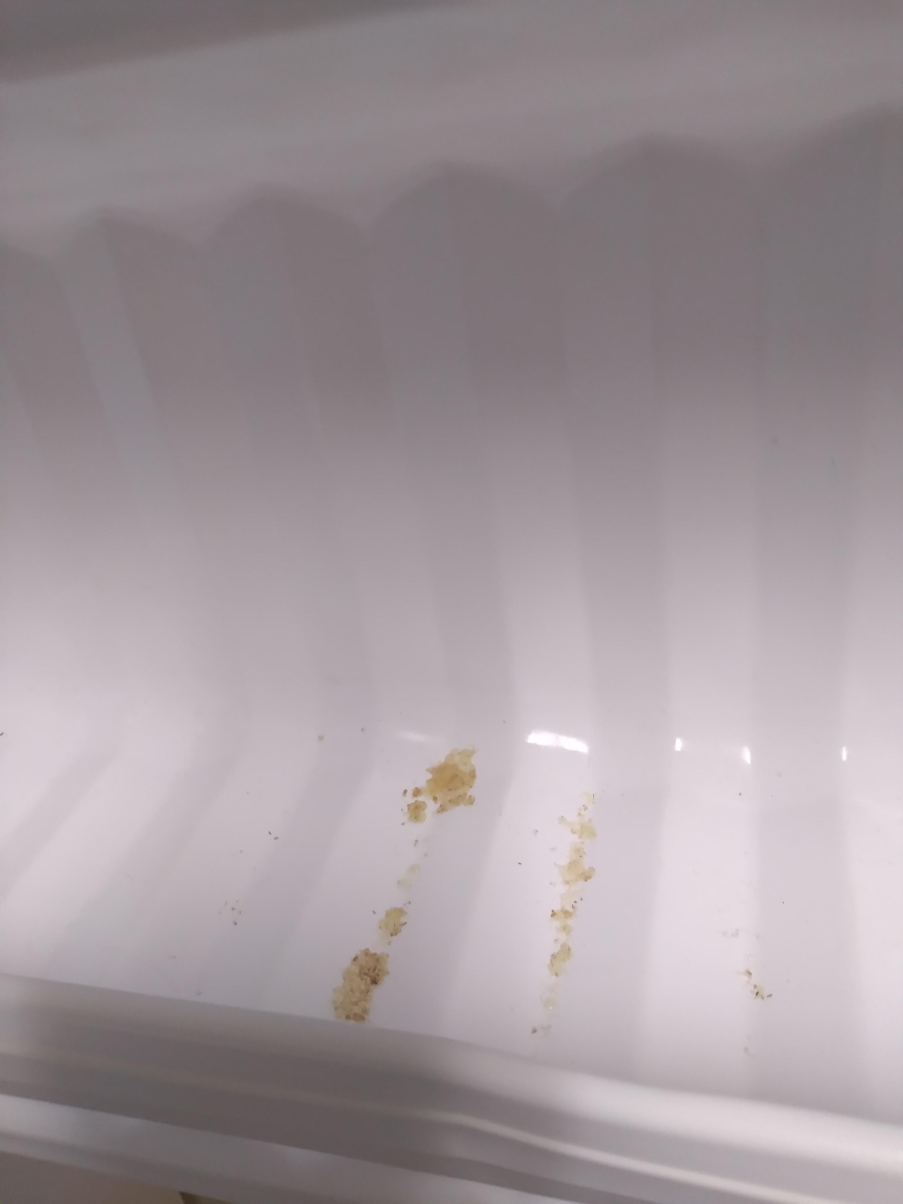 Crumbs left behind in Kitchen freezer.