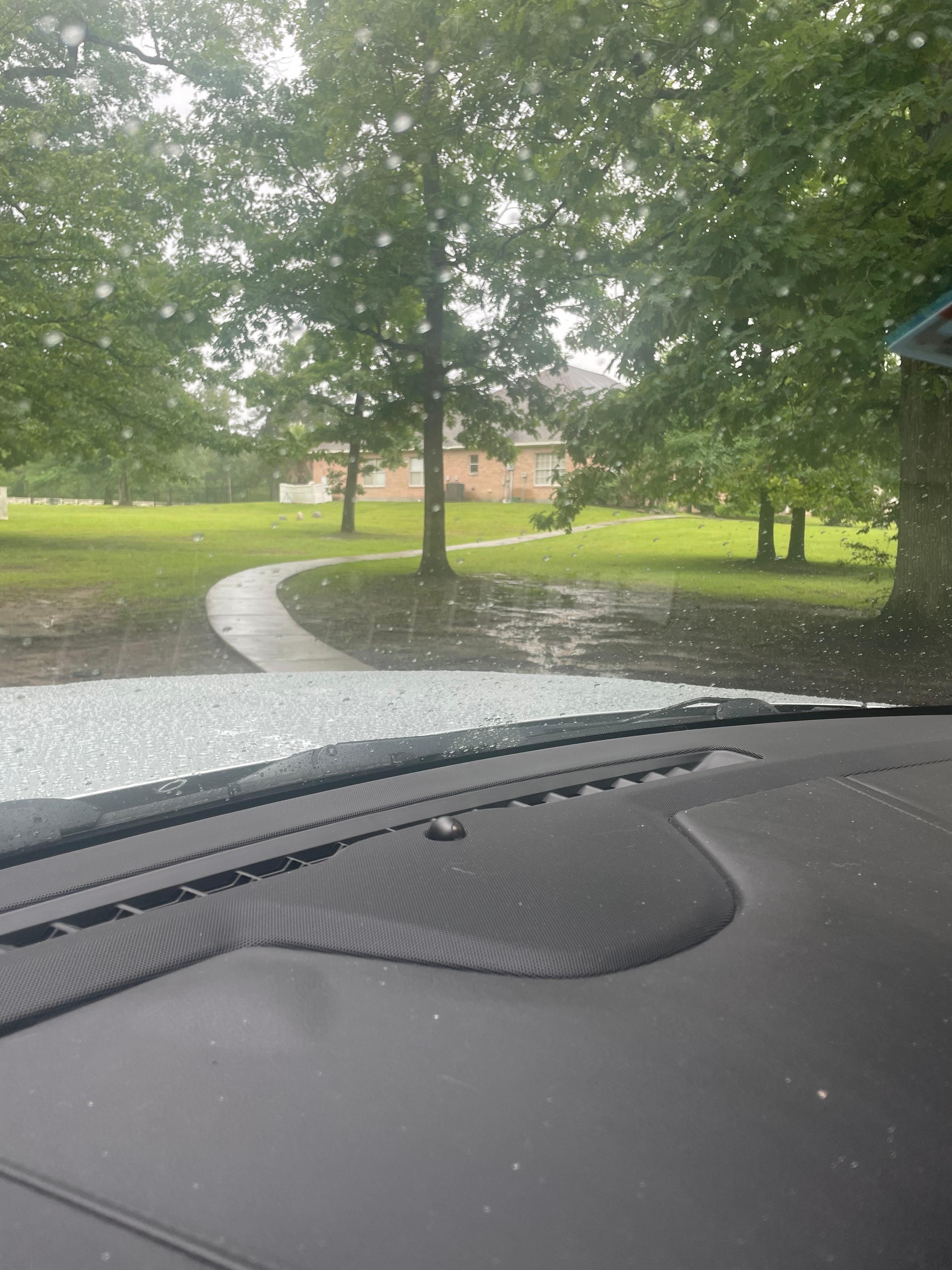 Beautiful yard and path leading to the home. Instant wildlife sightings! 