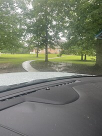 Beautiful yard and path leading to the home. Instant wildlife sightings!