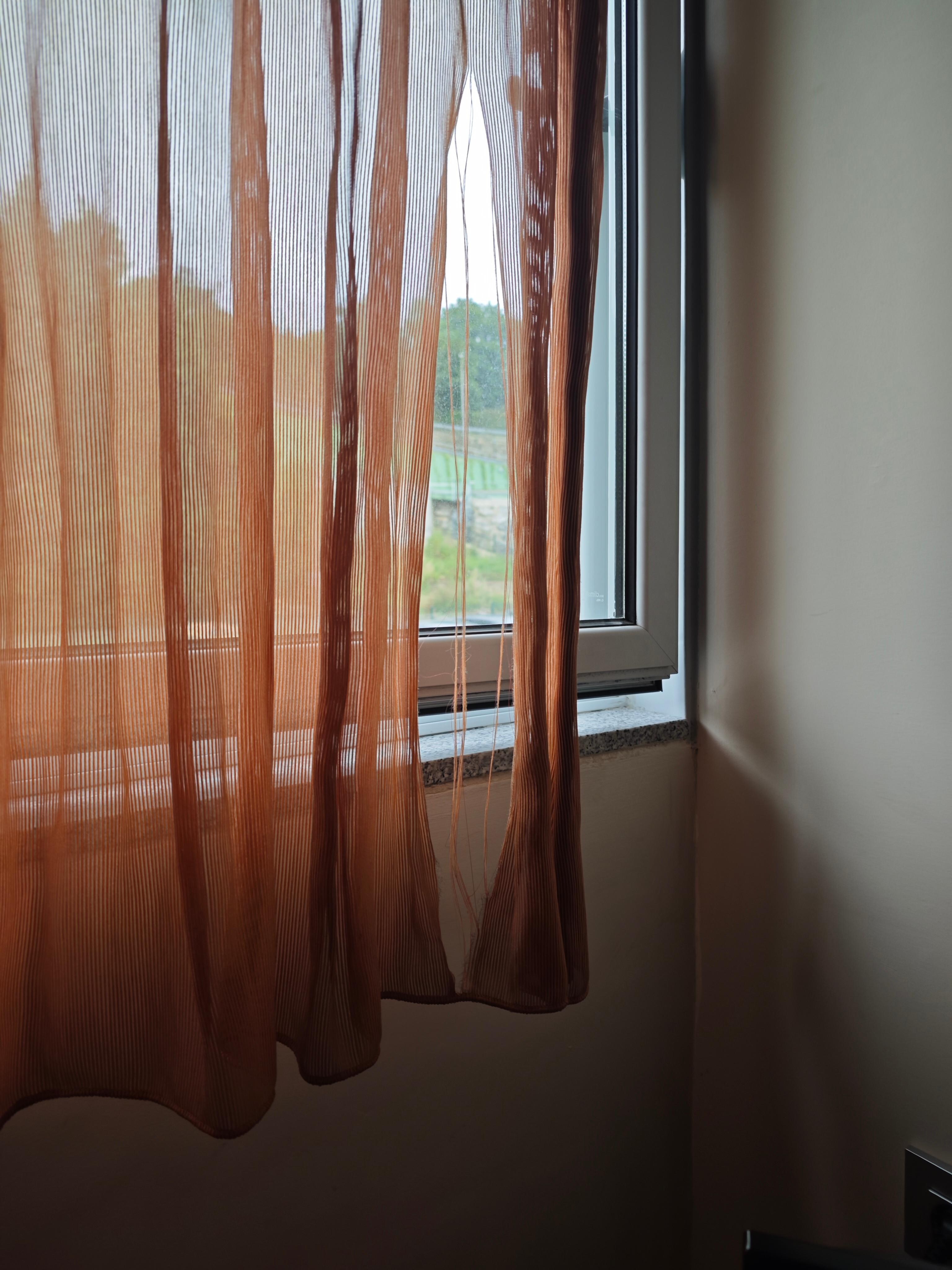 El abandono es evidente en cada rincĂłn