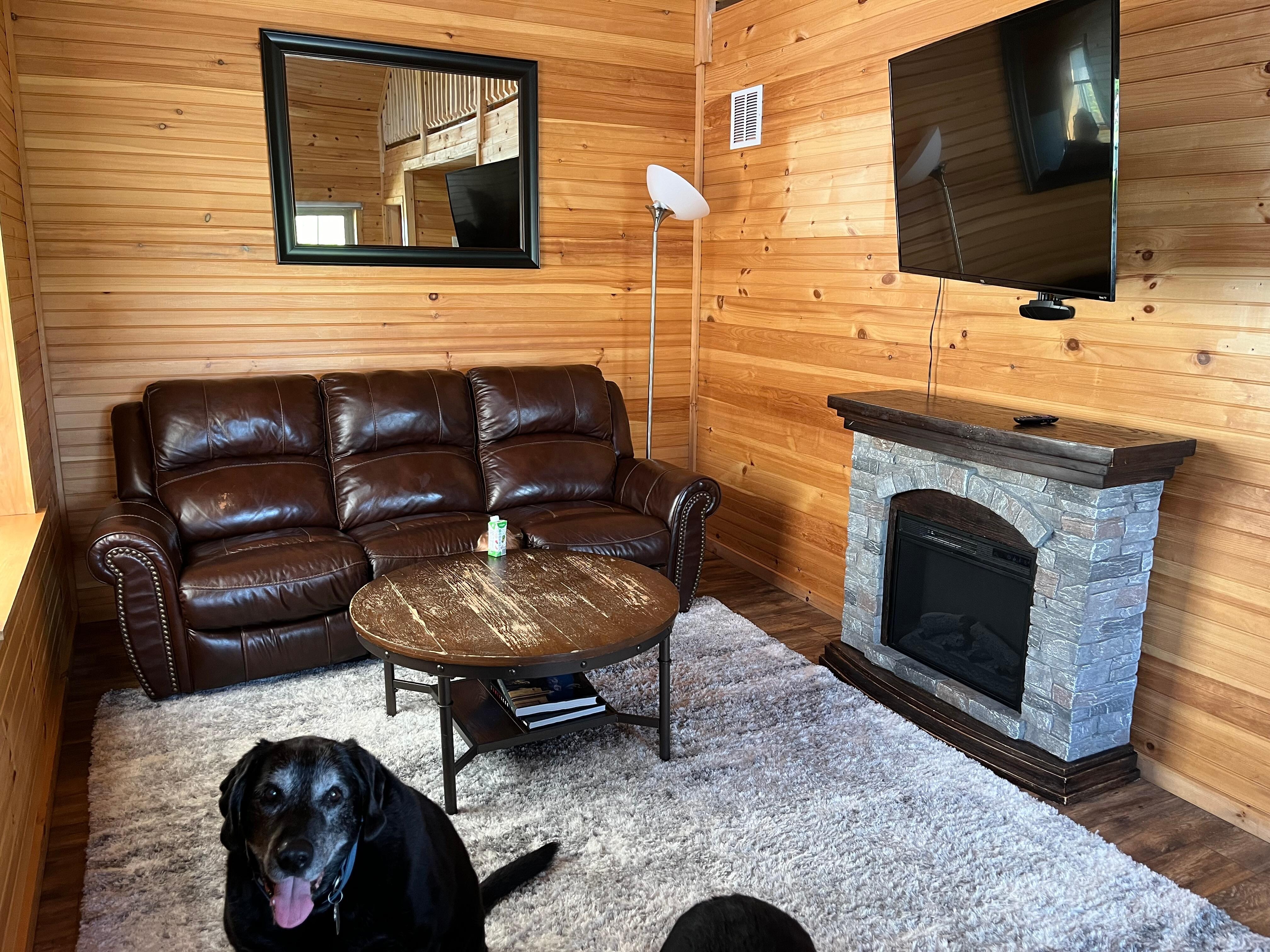 Dog friendly! 