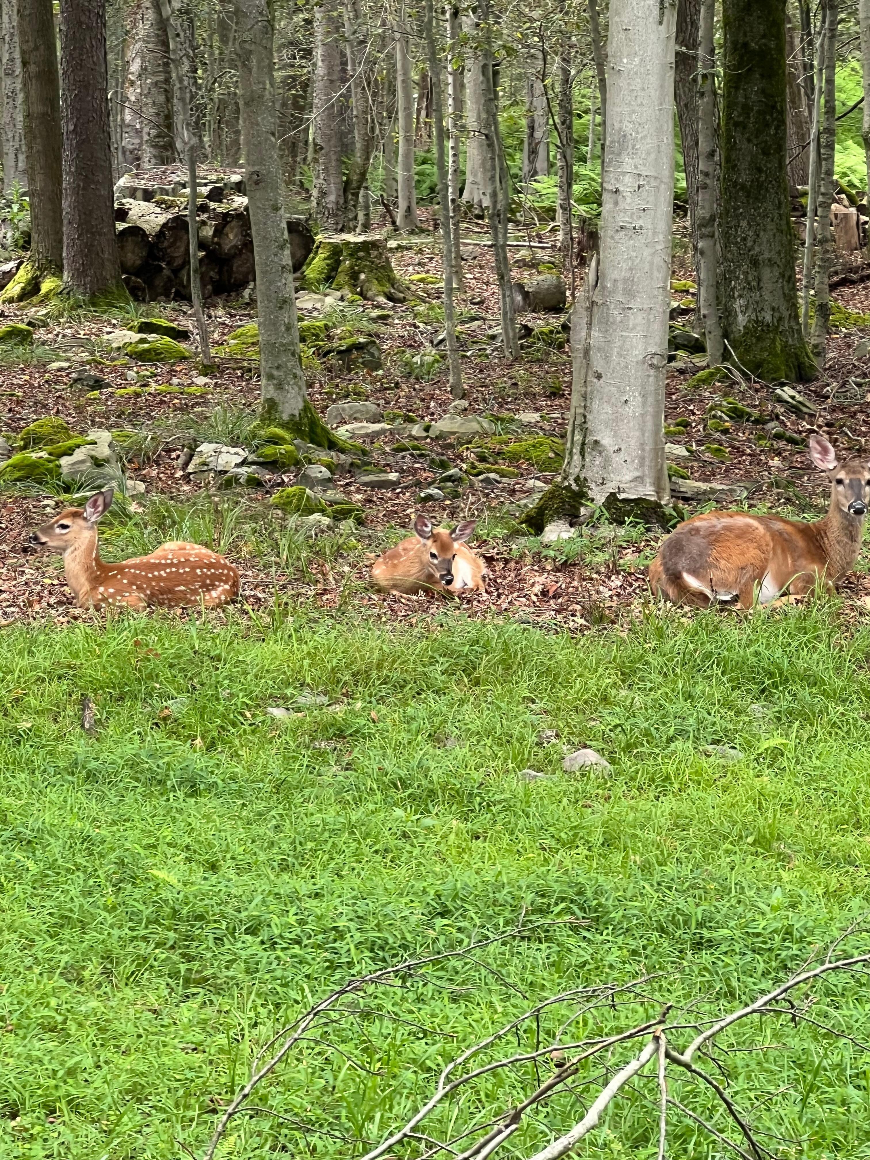 Beautiful view in the morning. 