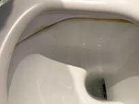 This has not been cleaned in years!