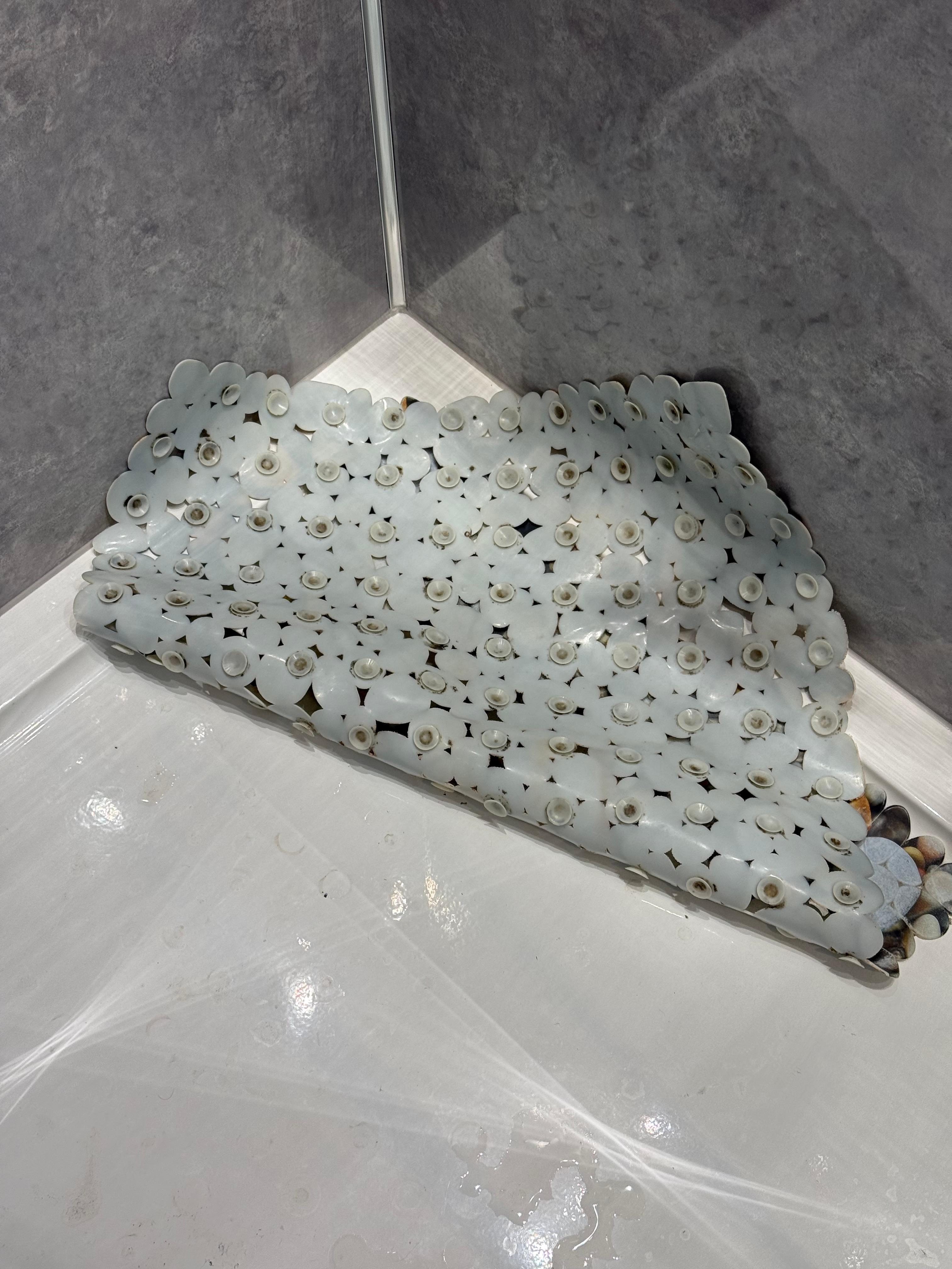 Mold under the shower mat which is extremely unhygienic 