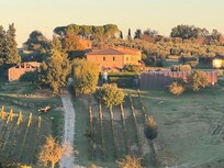 The adjacent vineyards