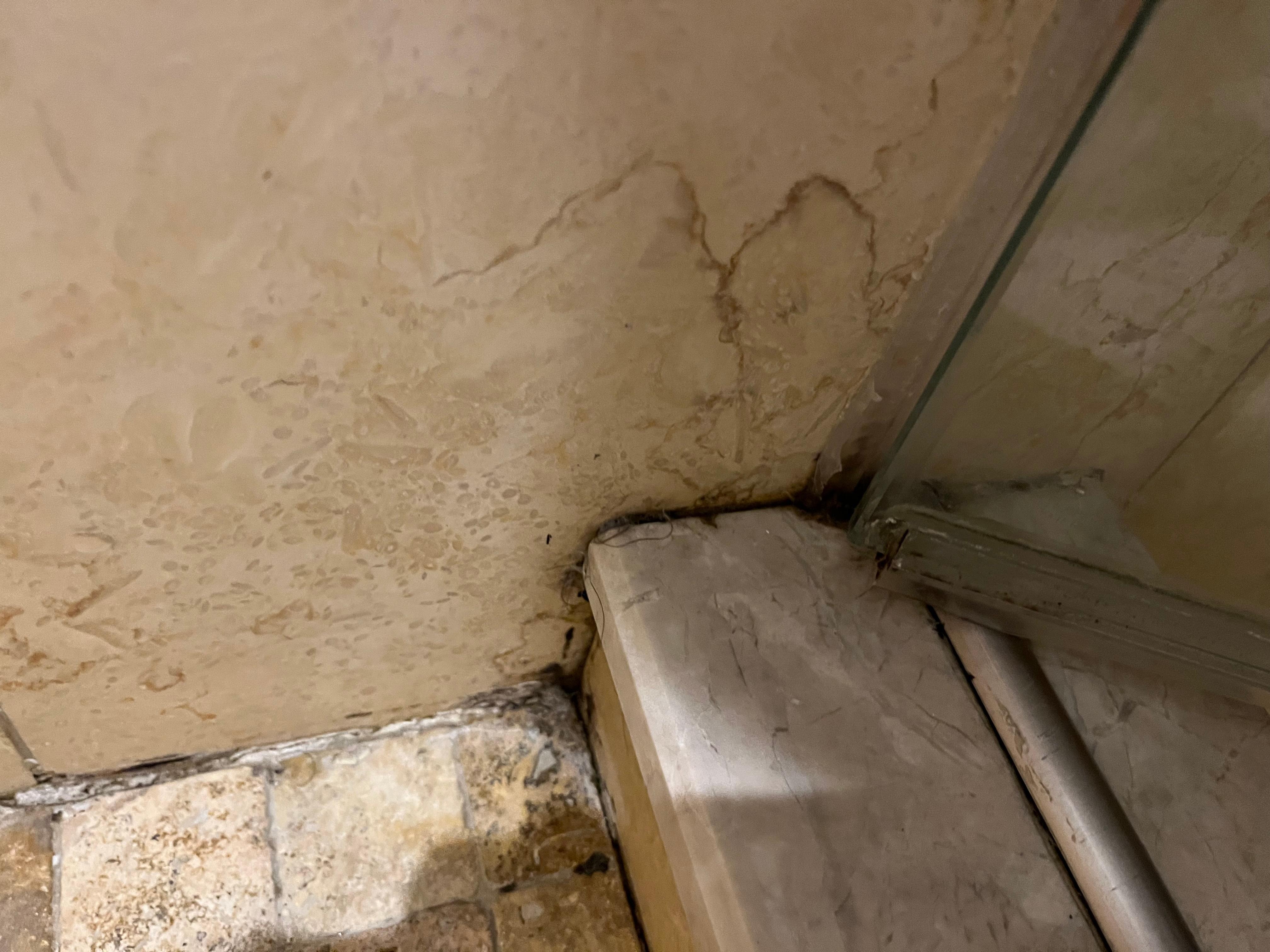 Shared hall shower with Marquis and Le Chateau