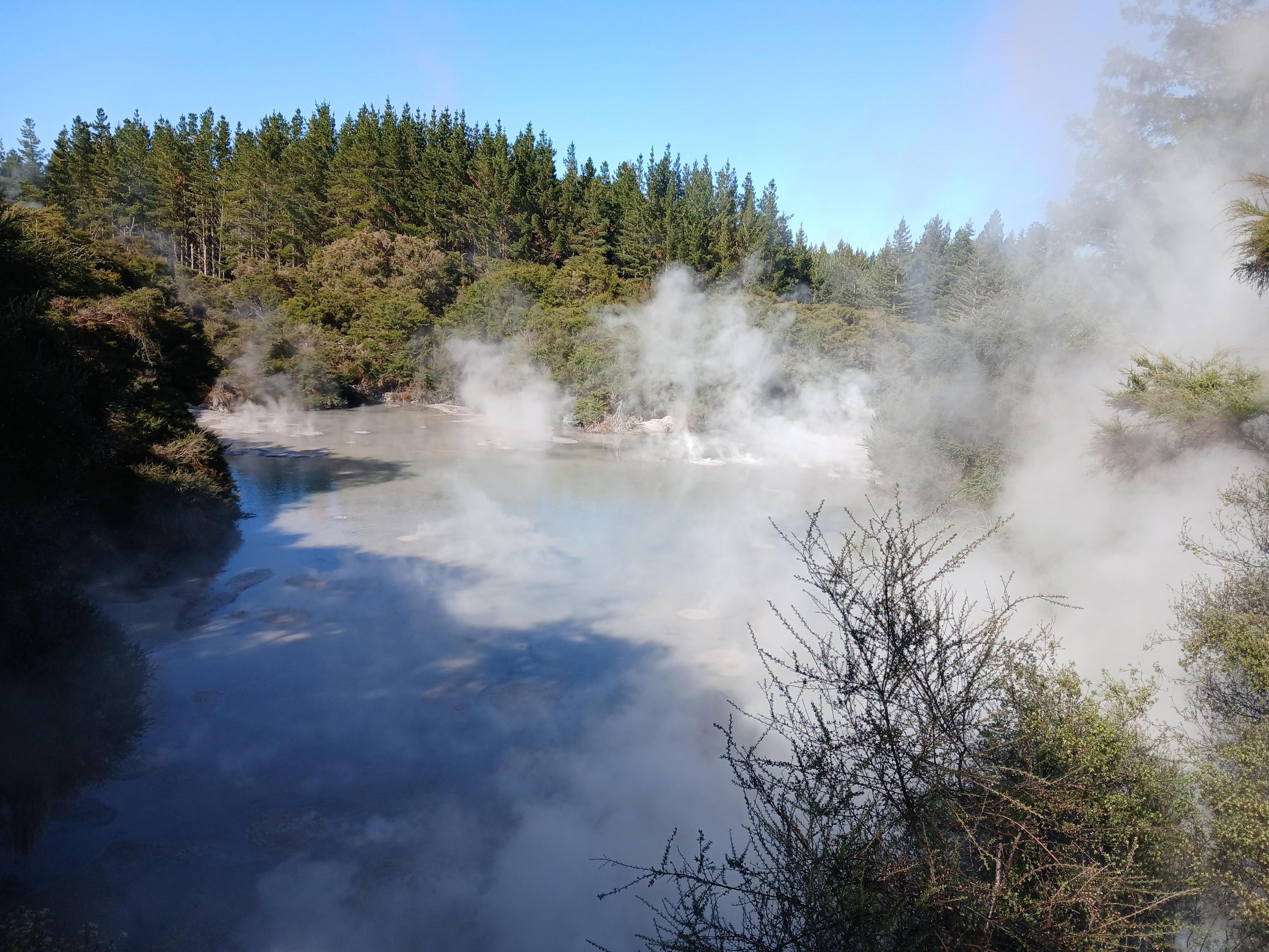 Thermal mud pool between Rotorua and Lake Taupo.