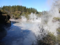 Thermal mud pool between Rotorua and Lake Taupo.